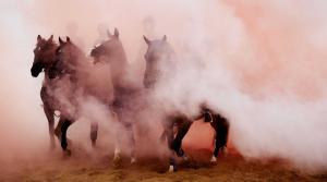 Cavalry horses and their riders are exposed to smoke as members of the Dutch cavalry undergo a stress test at the beach in Scheveningen, the Netherlands, Sept. 14, 2015. The horses and riders are tested with gunfire, music and smoke for the next day's parade in The Hague, including the King and Queen in the Golden Carriage who will pronounce the Speech from the Throne, one of the main features of government policy for the coming parliamentary session. (EPA/MARTIJN BEEKMAN)